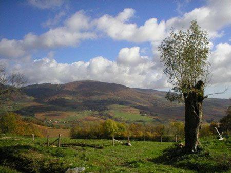 Le Colombier D'Amalthee Villa Vernay Екстериор снимка